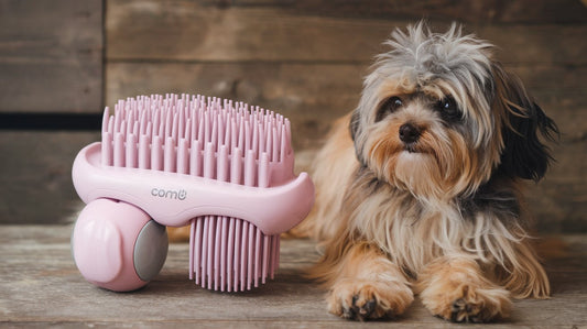 Unleash the Magic: Discover the Ultimate Pet Grooming Tool That Transforms Your Furry Friend's Coat