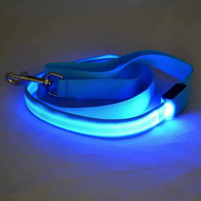 Reflective LED Dog Leash USB Reachargeable Pet Leash Lighted Dog Rope  Flashing Dog Leads for Night Walking