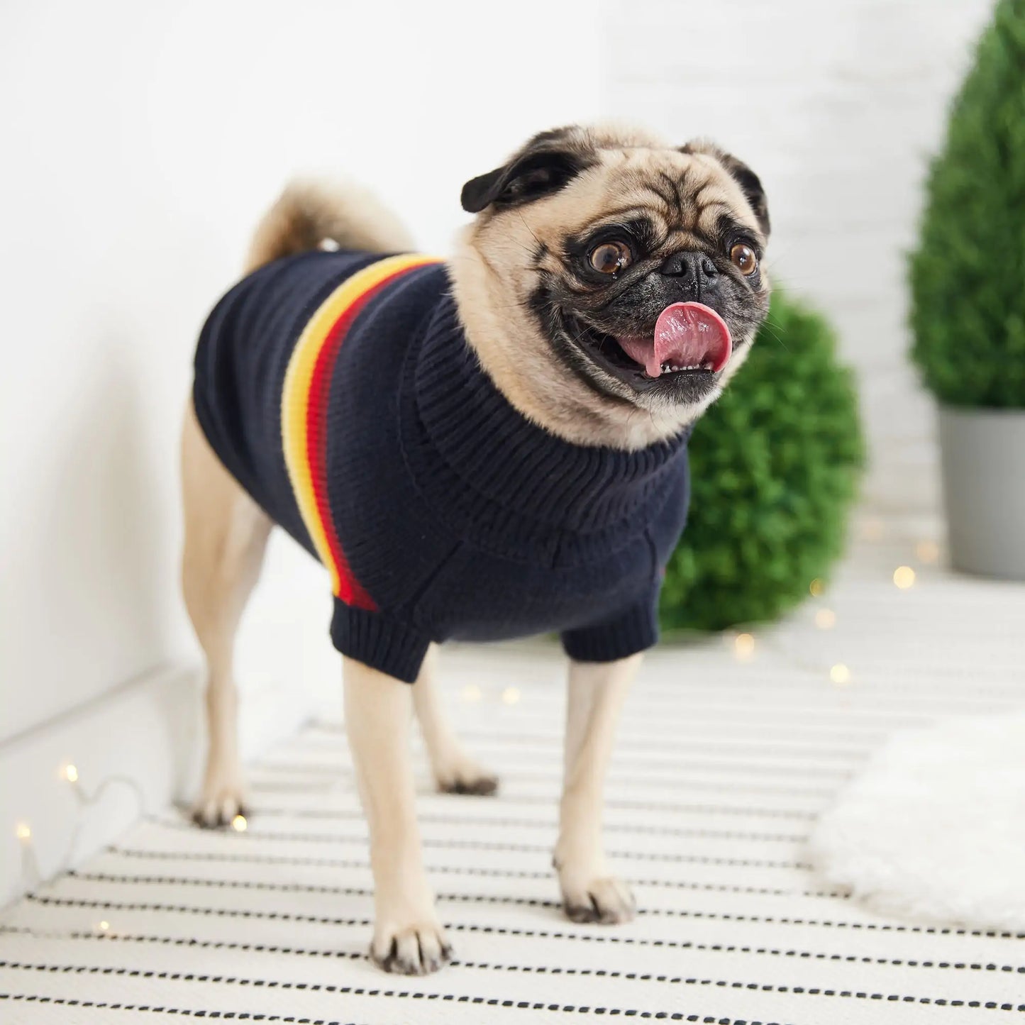 Dog Clothes Dogs Sweater Soft Puppies Clothing Winter Puppy Sweaters Warm Outfit for Dogs