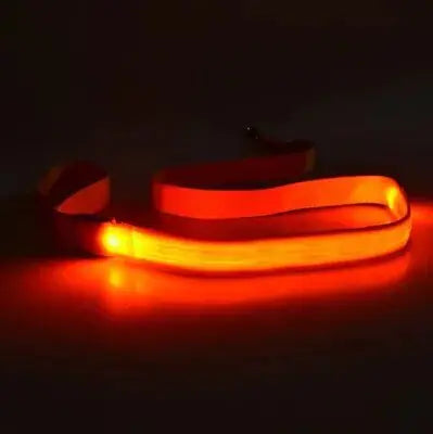 Reflective LED Dog Leash USB Reachargeable Pet Leash Lighted Dog Rope  Flashing Dog Leads for Night Walking