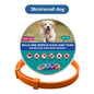 Dog Flea Tick Prevention Collar: Effective Flea Collar and Prevention for Dogs & Cat- Safe Dog Ticks Fleas Collars - Reliable Tick Flea Collars for Dogs