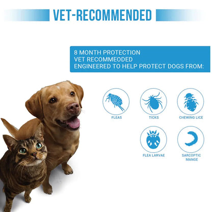 Dog Flea Tick Prevention Collar: Effective Flea Collar and Prevention for Dogs & Cat- Safe Dog Ticks Fleas Collars - Reliable Tick Flea Collars for Dogs