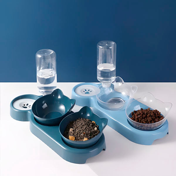 Double Dog Cat Bowls - Pets Water and Food Bowl Set, 15°Tilted Water and Food Bowl Set with Automatic Waterer Bottle for Small or Medium Size Dogs Cats