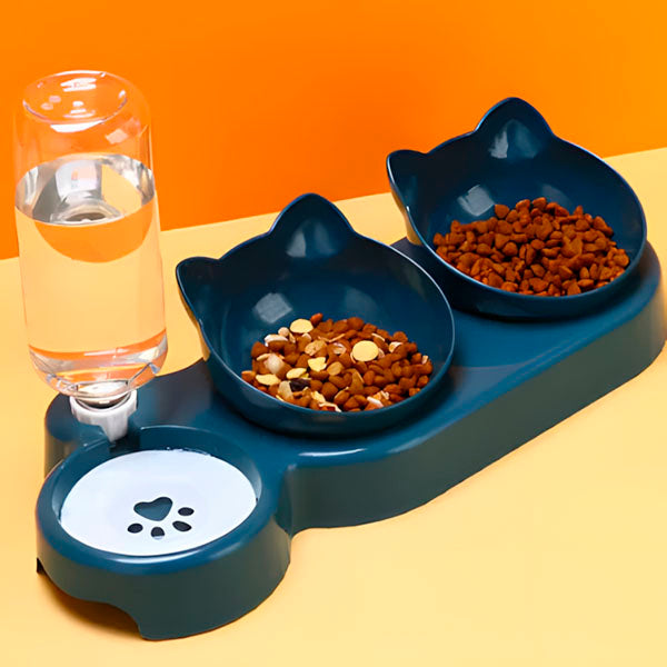 Double Dog Cat Bowls - Pets Water and Food Bowl Set, 15°Tilted Water and Food Bowl Set with Automatic Waterer Bottle for Small or Medium Size Dogs Cats