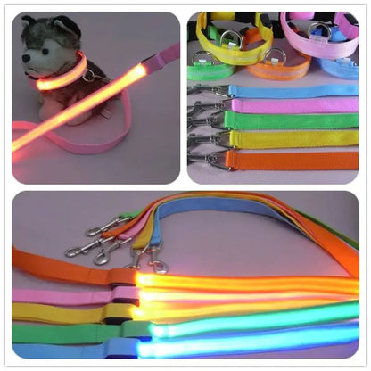 Reflective LED Dog Leash USB Reachargeable Pet Leash Lighted Dog Rope  Flashing Dog Leads for Night Walking