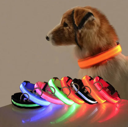 Dog Collar, USB Rechargeable Light Up Dog Collar Lights, Adjustable Comfortable Soft Mesh Safety Dog Collar for Small, Medium, Large Dogs