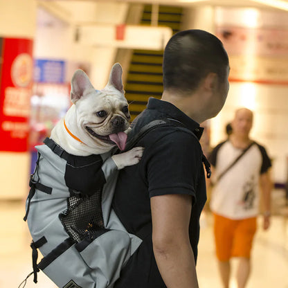 Dog Backpack Carrier for Small Large Cat, Pet, Puppy, Ventilated Pet Hiking Backpack Travel Bag