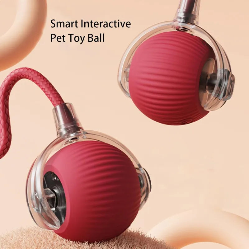 Rolling Ball,Interactive Rolling Dog Ball Toy,Interactive Cat Ball Toy,Interactive Cat Dog Toys Ball Fast Rolling, 360°  Rolling Pet Ball